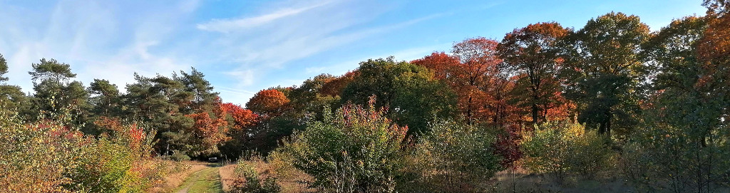 Ons Maasland interview